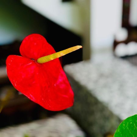 Siri'S Residency Apartment Habaraduwa Bagian luar foto