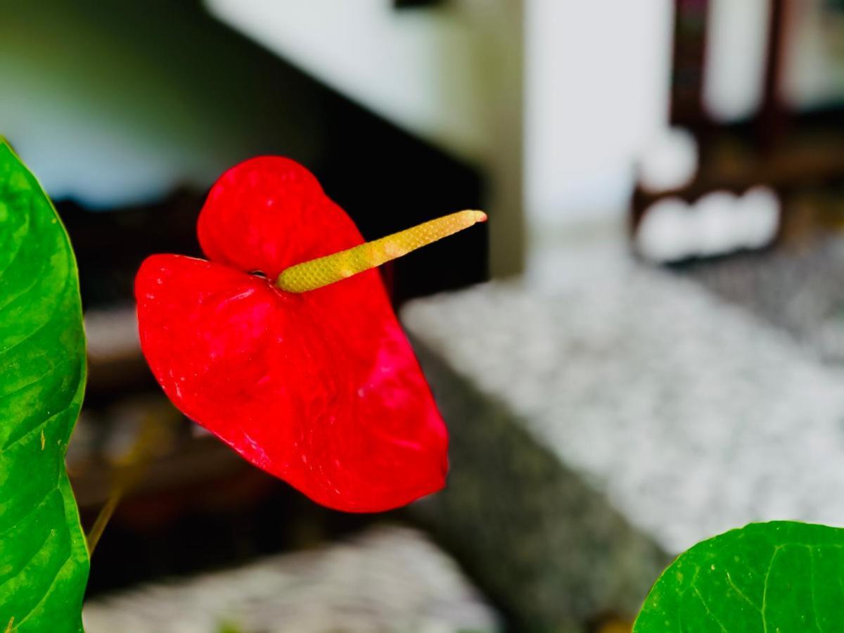 Siri'S Residency Apartment Habaraduwa Bagian luar foto