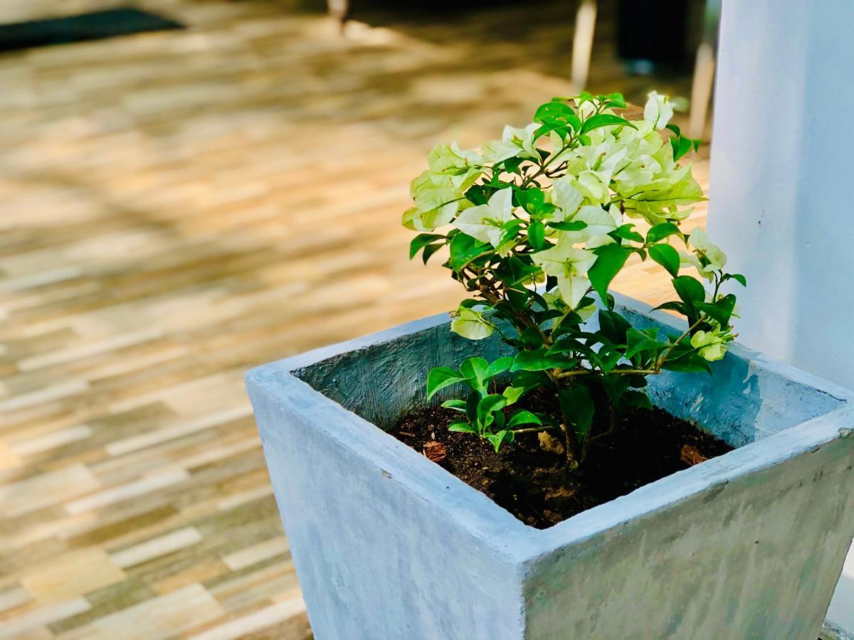 Siri'S Residency Apartment Habaraduwa Bagian luar foto